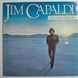 Jim Capaldi &ndash; One Man Mission 90482 фото 1