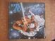 Boney M. &ndash; Nightflight To Venus 90352 фото 1